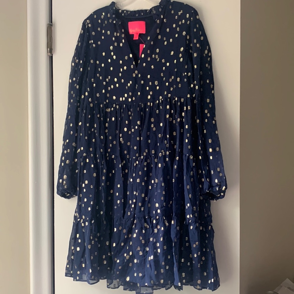 NWT Lilly Pulitzer Sarita Silk Dress